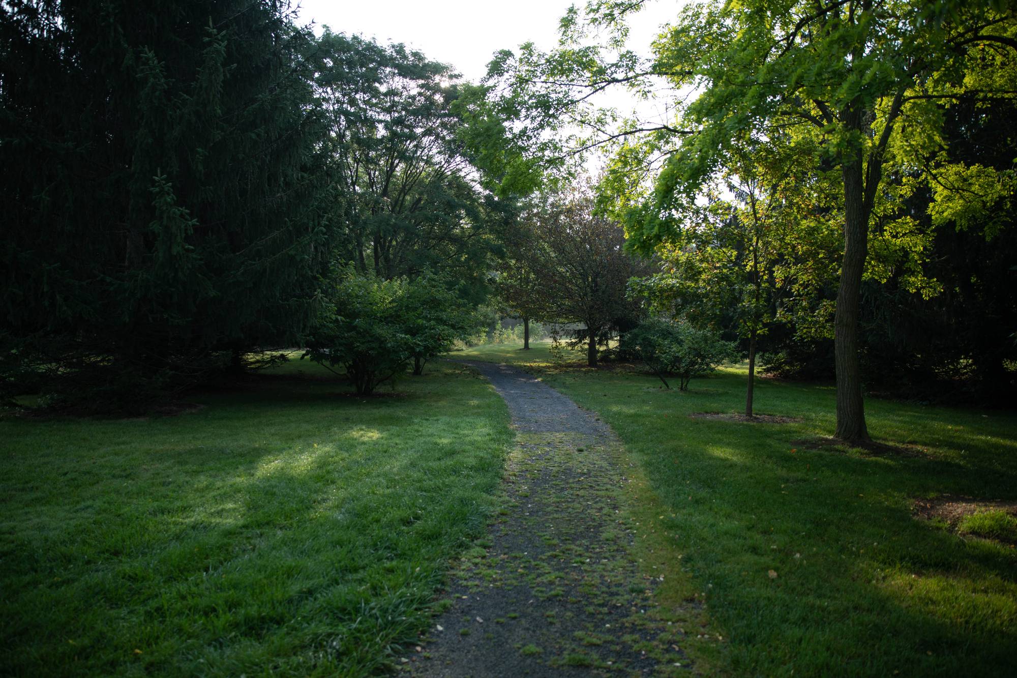 The GVSU Arboretum
